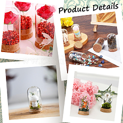 20Pcs Glass Dome Cloche Cover&nbsp;AJEW-SC0001-55A