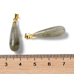 Natural Labradorite Teardrop Pendants&nbsp;G-Q005-03G-07