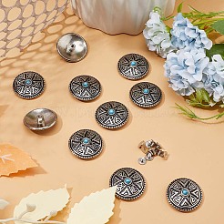 10 Sets Zinc Alloy Decorative Rivets&nbsp;BUTT-GF0001-20