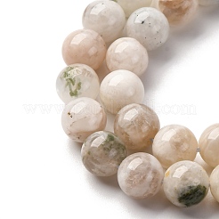 Natural White Moonstone Beads Strands&nbsp;G-I388-01-8mm