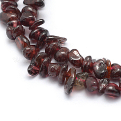 Natural Garnet Beads Strands&nbsp;G-P332-68