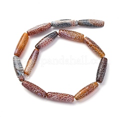 Natural Weathered Agate Beads Strands&nbsp;G-P570-C03-01