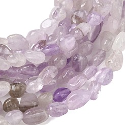 Natural Amethyst Beads Strands&nbsp;G-C286-A24