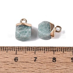 Natural Amazonite Pendants&nbsp;G-N359-18G-18