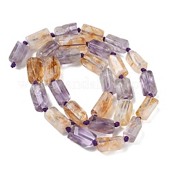 Natural Ametrine Beads Strands&nbsp;G-C270-K20