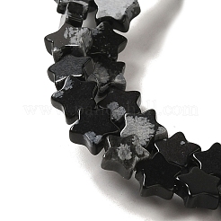 Natural Snowflake Obsidian Beads Strands&nbsp;G-G085-B37-02