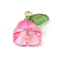 Transparent Acrylic Pendants&nbsp;PALLOY-TA00093