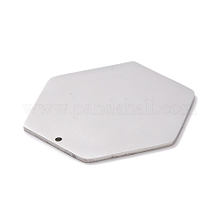 Non-Tarnish 304 Stainless Steel Pendants&nbsp;STAS-L238-087-1P