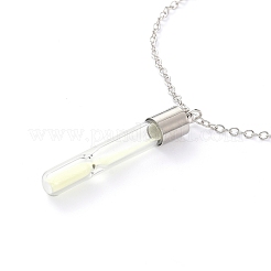 Luminous Alloy Locket Pendant Necklaces&nbsp;NJEW-F284-08A
