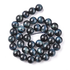 Natural Tiger Eye Beads Strands&nbsp;G-G448-10mm-19AB+
