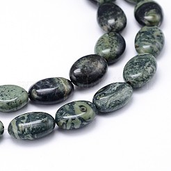 Natural Kambaba Jasper Beads Strands&nbsp;G-M206-17