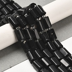 Natural Black Tourmaline Beads Strands&nbsp;G-N327-06-14A