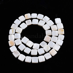 Natural Freshwater Shell Beads Strands&nbsp;SHEL-N026-209