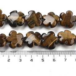 Natural Tiger Eye Beads Strands&nbsp;G-F769-H01-01