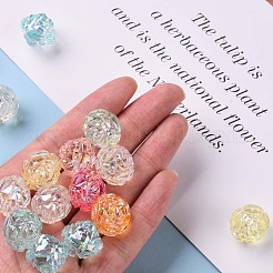 Transparent Acrylic Beads&nbsp;TACR-S154-31C