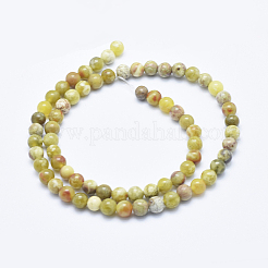 Natural Serpentine Jade Beads Strands&nbsp;G-P353-06-6mm