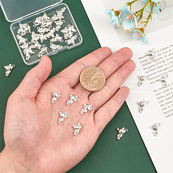 40Pcs Rack Plating Alloy Charms&nbsp;PALLOY-CA0002-40S