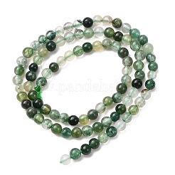 Natural Moss Agate Beads Strands&nbsp;G-Z116-A05-2mm