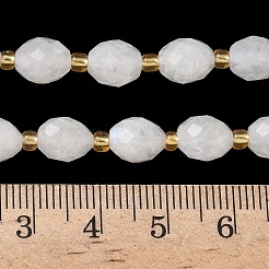 Natural Rainbow Moonstone Beads Strands&nbsp;G-F809-A03-01