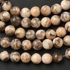 Natural Feldspar Beads Strands&nbsp;G-S259-26-6mm