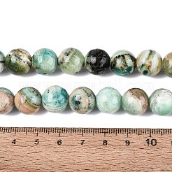 Natural Green Line Jasper  Beads Strands&nbsp;G-B128-A03-05