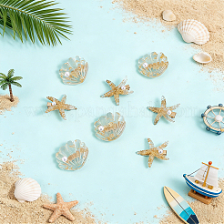 12Pcs 2 Styles Resin Alligator Hair Clips&nbsp;PHAR-UN0001-02