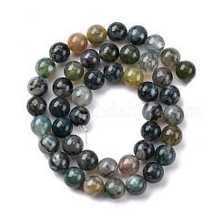 Natural Moss Agate Beads Strands&nbsp;G-F453-8mm