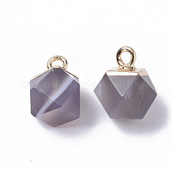 Natural Grey Agate Charms&nbsp;G-S359-015D