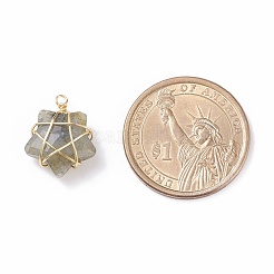 Natural Gemstone Pendants&nbsp;PALLOY-JF01457-01