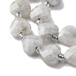 Natural Labradorite Beads Strands&nbsp;G-P570-E18-01
