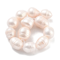 Natural Cultured Freshwater Pearl Beads Strands&nbsp;PEAR-P062-11B
