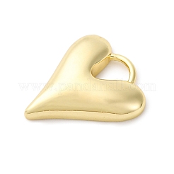 Brass Charms&nbsp;KK-F895-04G