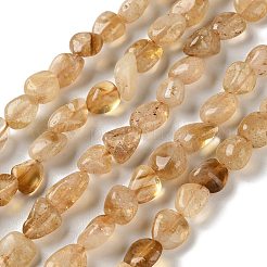 Natural Citrine(Heated) Beads Strands&nbsp;X-G-F827-A01-02