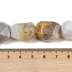 Natural Botswana Agate Beads Strands&nbsp;G-F796-C03-01