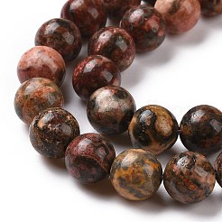 Natural Leopard Skin Jasper Beads Strands&nbsp;G-J358-05-8mm