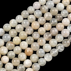 Natural White Moonstone Beads Strands&nbsp;G-C277-A01-10mm