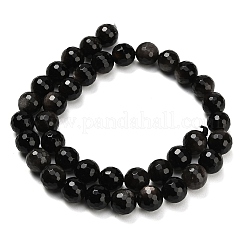 Natural Silver Obsidian Beads Strands&nbsp;G-C280-B08-10mm