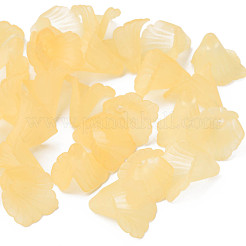 Transparent Acrylic Beads&nbsp;PL551-C30