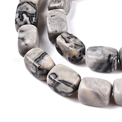 Natural Map Stone Beads Strands&nbsp;G-T138-98