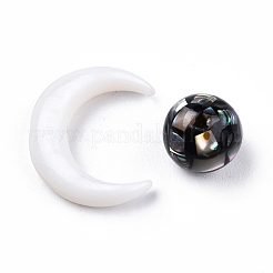 Natural Freshwater Shell Beads&nbsp;SSHEL-N032-51-A03