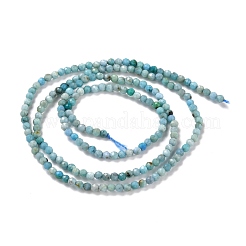 Natural Blue Opal Beads Strands&nbsp;G-K315-B05-A