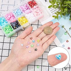 Acrylic Cabochons&nbsp;SACR-CA0001-03