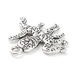 Tibetan Style Alloy Pendants&nbsp;PALLOY-P293-078AS