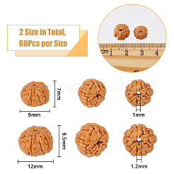 120Pcs 2 Styles Natural Rudraksha Beads&nbsp;WOOD-DC0001-06