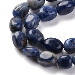 Natural Sodalite Beads Strands&nbsp;G-G146-A03-01
