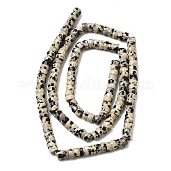 Natural Dalmatian Jasper Heishi Beads Strands&nbsp;G-A299-A12-01