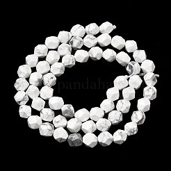 Natural Howlite Beads Strands&nbsp;G-Z119-A43-01