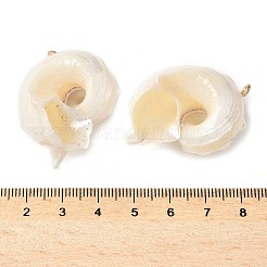 Natural Sea Shell Pendants&nbsp;X-SSHEL-C013-03