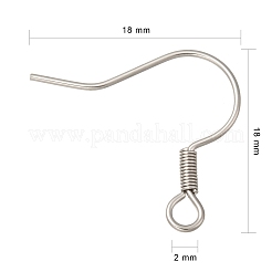 Tarnish Resistant 316 Surgical Stainless Steel Earring Hooks&nbsp;X1-STAS-E009-2