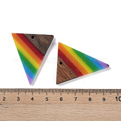 Rainbow Color Opaque Resin & Wood Pendants&nbsp;WOOD-K012-13